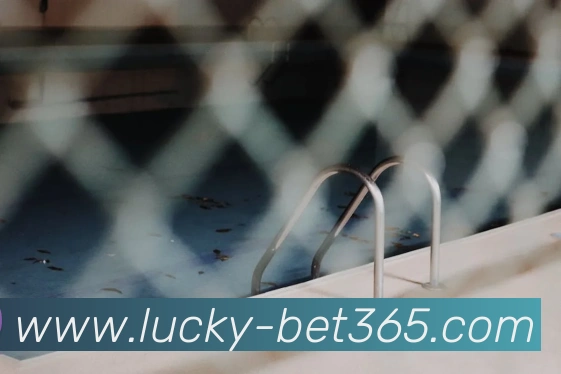 bet365平台生态图